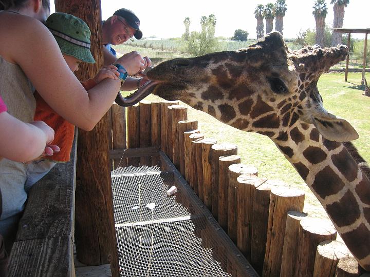 2nd Birthday at the zoo 26.JPG